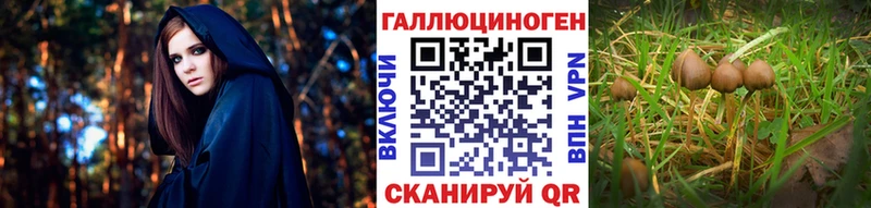Галлюциногенные грибы мицелий  Купить закладки  Белогорск 